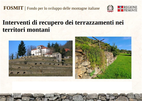 Bando Terrazzamenti Piemonte 2025 - Opportunità per la montagna