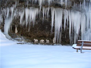 Obblighi in caso di nevicate e/o strade ghiacciate