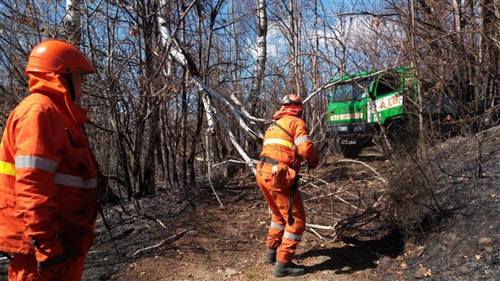 Revocato lo stato di massima pericolosità per incendi boschivi su tutto il territorio piemontese dall'11.09.2026